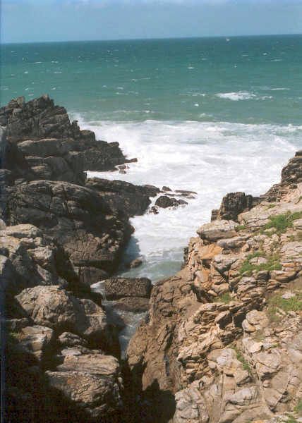 COTESAUVAGE.jpg
